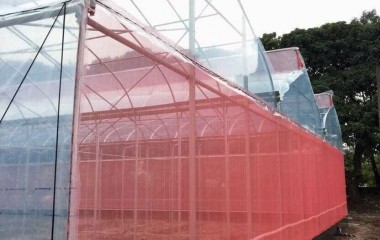 Lưới chắn côn trùng Nhật Bản: Giải pháp bảo vệ hiệu quả cho nhà kính và vườn cây