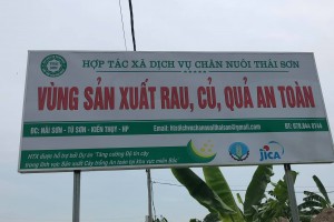 HTX Dịch Vụ Chăn Nuôi Thái Sơn – Vùng Sản Xuất Rau, Củ, Quả An Toàn